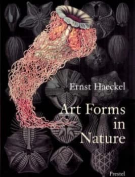 Art Forms in Nature by Olaf Breidbach and Irenus Eibl-Eibesfeldt and Richard Schaffer- Hartmann Paperback