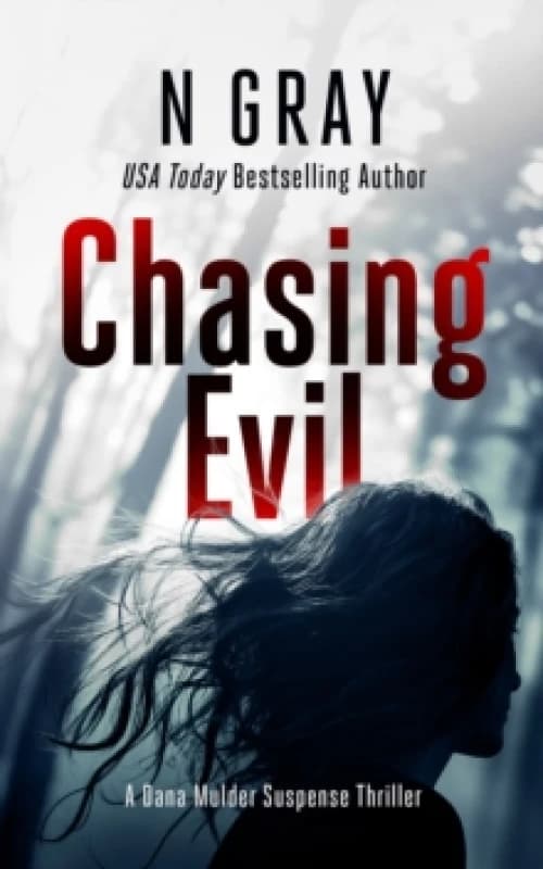 Chasing Evil. Paperback. By N Gray Books