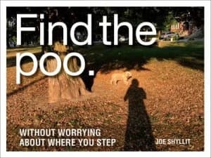 Find the poo by Joe Shyllit