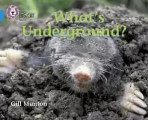 Whats Underground by Gill Munton