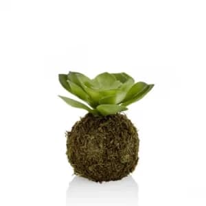 CCK0119 Green Succulent Artificial Plant