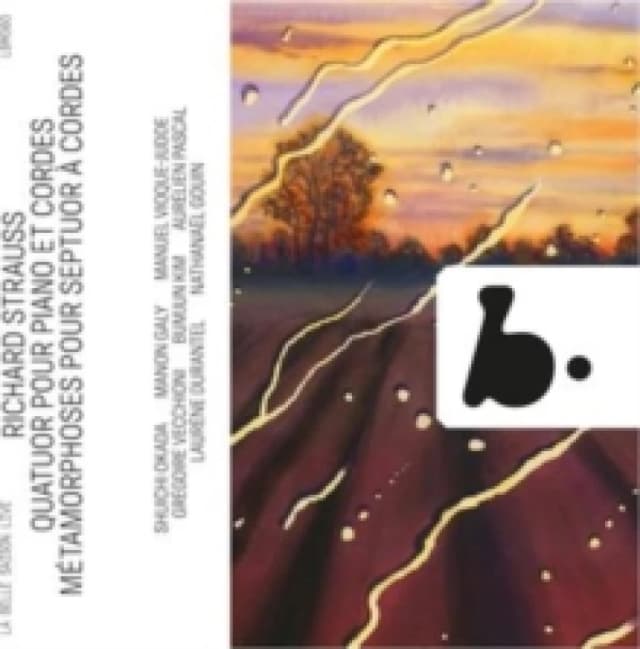 Richard Strauss: Quatuor Pour Piano Et Cordes/... CD / Album