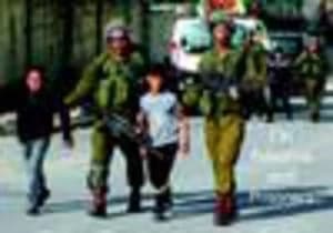 On Palestine and Prisoners by Ayse Berktay Book