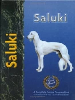 Saluki by Ann Chamberlain Hardback