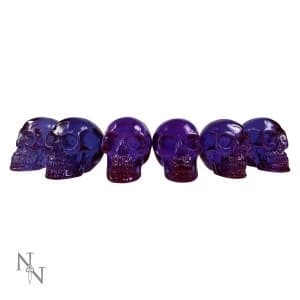 Fluorite Pack Of 6 Skulls
