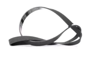 RIDEX V-ribbed belt FORD,FIAT,PEUGEOT 305P0140 85523470,A113701315CA,A113701315CB 04891505AB,4891505AB,1633986380,5750EY,5750VF,5750Z9,9637529480