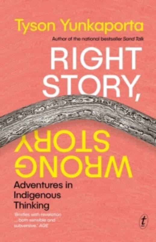Right Story, Wrong Story Paperback / softback