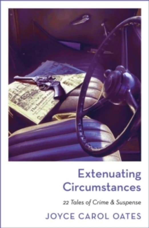 Extenuating Circumstances Paperback / softback