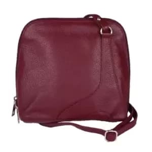 Eastern Counties Leather Womens/Ladies Farah Handbag With Panel Detail (One Size) (Burgundy)