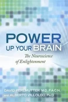 Power Up Your Brain by Alberto Villoldo, PhD