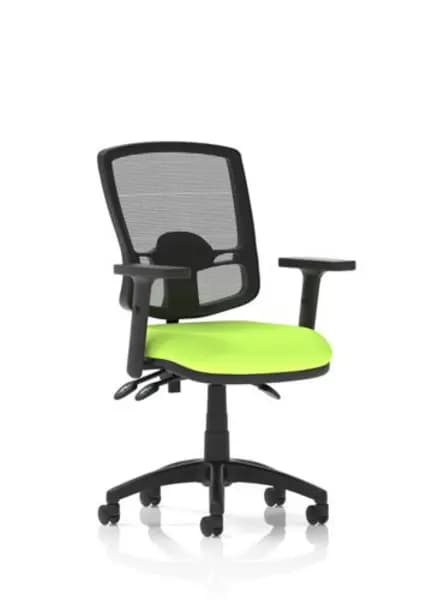 Eclipse Eclipse Plus III Lever Task Operator Chair Deluxe Mesh Back With Bespoke Colour Seat In Myrrh Green With Height Adjustable Arms KCUP1675