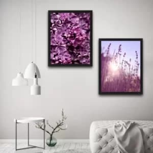 Purple Set Multicolor Decorative Framed Painting (2 Pieces)