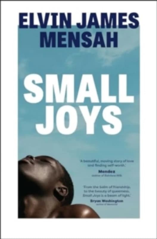 Small Joys : A Buzzfeed 'Amazing New Book You Need to Read ASAP' Paperback / softback