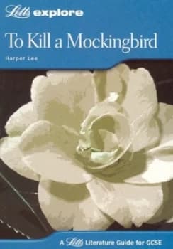 To Kill a Mockingbird Harper Lee by Stewart Martin and Andrea Stowe Paperback