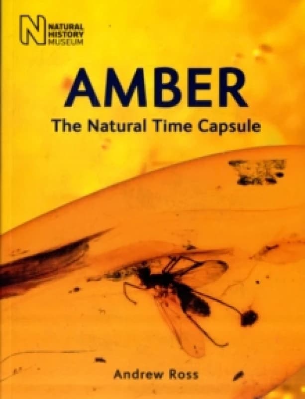 Amber. Paperback. By Andrew Ross, England Natural History Museum London Books