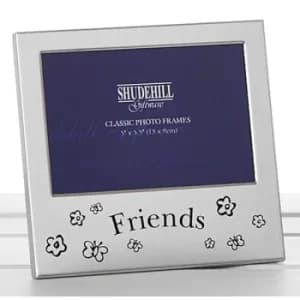Satin Silver Occasion Frame Friend 5x3