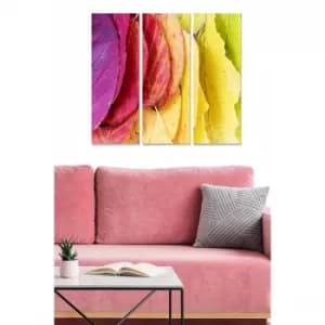 MDF7847305 Multicolor Decorative MDF Painting (3 Pieces)