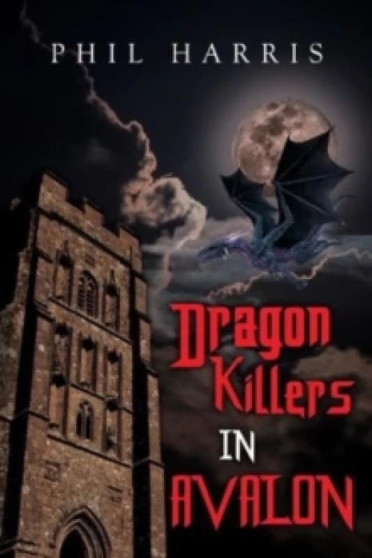 Dragon Killers in Avalon Paperback / softback