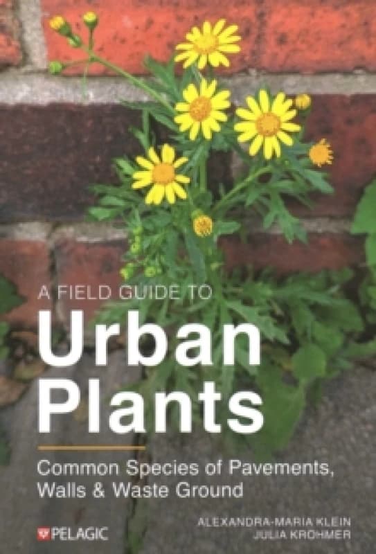 A Field Guide to Urban Plants : Common Species of Pavements, Walls and Waste Ground Paperback / softback
