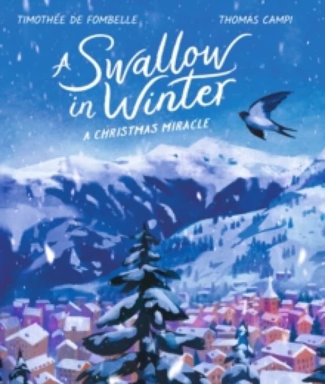 A Swallow in Winter: A Christmas Miracle Paperback / softback