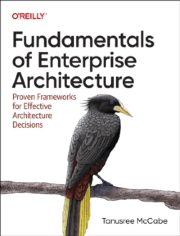 Fundamentals of Enterprise Architecture. Paperback. By Tanu McCabe Books