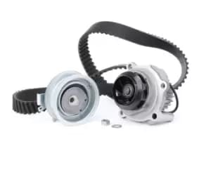 INA Water Pump + Timing Belt Kit 530 0171 31 VW,AUDI,SKODA,Golf IV Schragheck (1J1),Golf V Schragheck (1K1),POLO (9N_),TOURAN (1T1, 1T2)