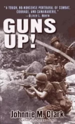 guns up a firsthand account of the vietnam war