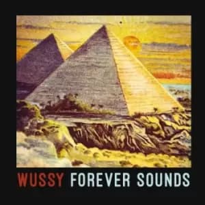 Wussy - Forever Sounds CD Album - Used