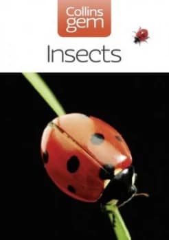 Insects by Michael Chinery Paperback