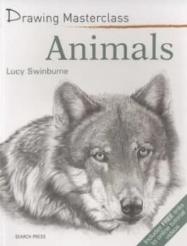Drawing Animals by Lucy Swinburne Paperback
