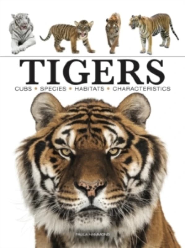 Tigers Paperback / softback