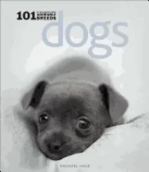 dogs 101 adorable breeds 101 adorable breeds