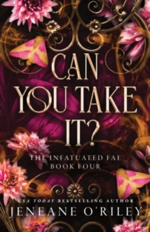 Can You Take It? The Thrilling Finale to the Dark Fantasy Enemies to Lovers Romance Series (Infatuated Fae Book 4) Paperback / softback