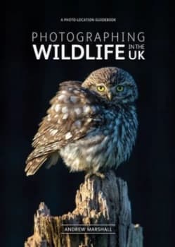 Photographing wildlife in the UK by Andrew Marshall