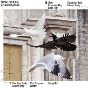 Total Control - Typical System Vinyl