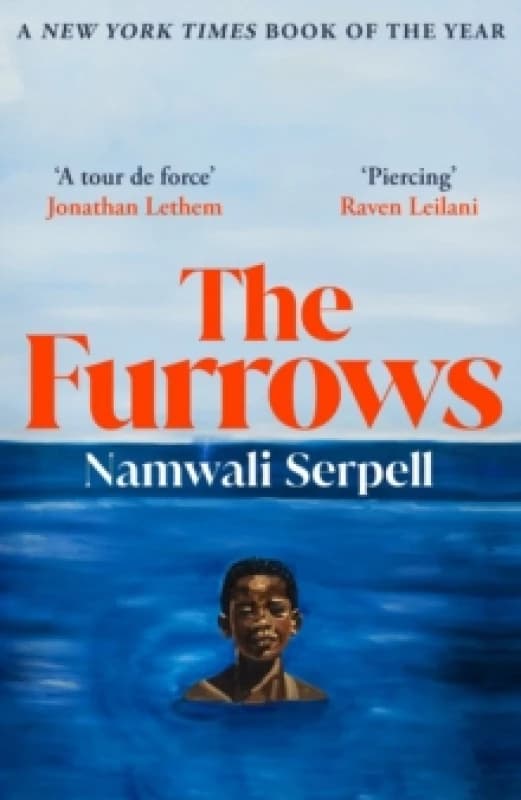 The Furrows Paperback / softback