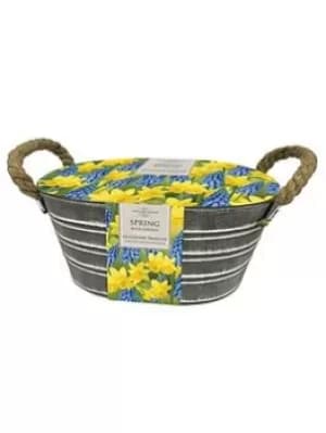 Outdoor Metal Trough-Narcissi/Muscari