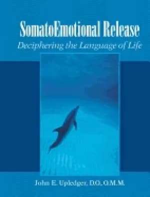 somato emotional release deciphering the language of life