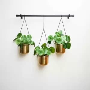 Ivyline Linear Hanging Planters In Black And Gold - 81Cm