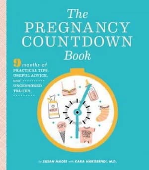 The Pregnancy Countdown Book by Susan Magee Paperback