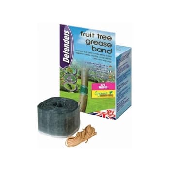 Fruit Tree Grease Band 1.75m - STV436 - Defenders