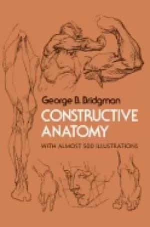 constructive anatomy