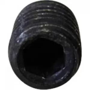 TOOLCRAFT 222519 Grub screw M2 5mm Steel 20 pc(s)