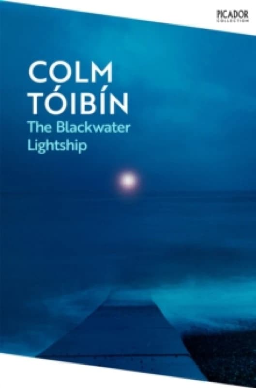 The Blackwater Lightship. Paperback. By Colm Toibin Books