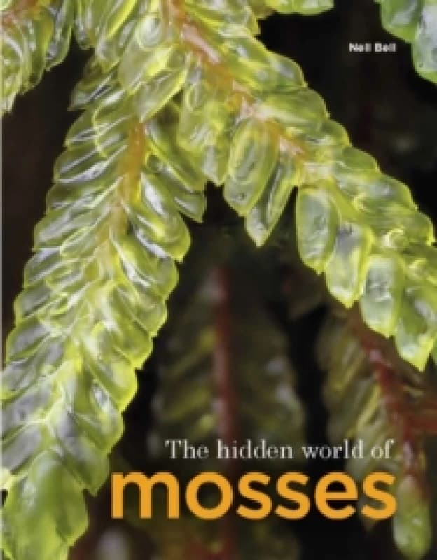 The Hidden World of Mosses Hardback