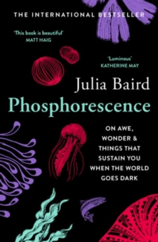 Phosphorescence. Paperback. By Julia Baird Books