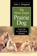 black tailed prairie dog social life of a burrowing mammal