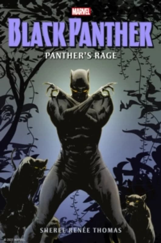 Black Panther: Panther's Rage Paperback / softback