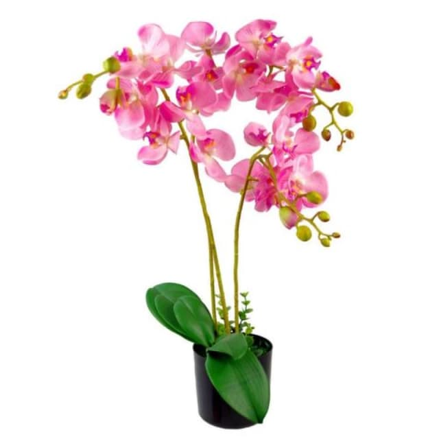 Leaf 60cm Leaf Design UK Realistic Artificial Orchid Flower Display in Pot Green unisex