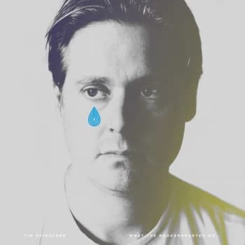 Tim Heidecker - What The Brokenhearted Do... Vinyl